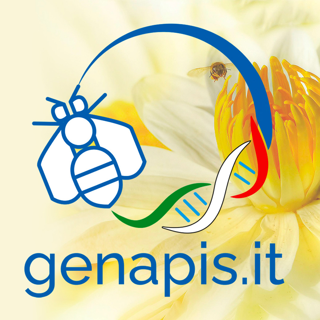 Genapis.it