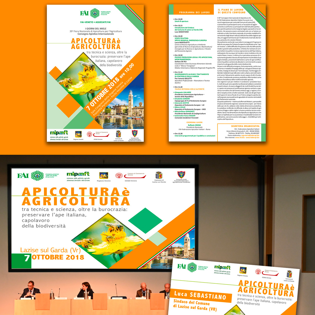 Convegno FAI - Lazise 